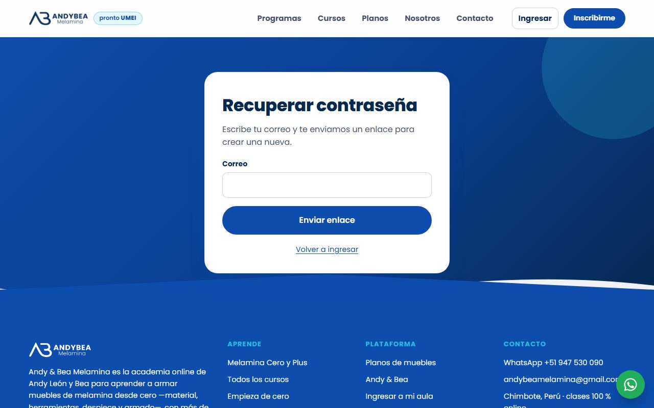 Pantalla para recuperar la contraseña